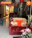 Jual Rumah Bagus Siap Huni LB 160m2 di Rungkut, Surabaya